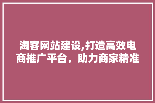 淘客网站建设,打造高效电商推广平台，助力商家精准营销 神马SEO
