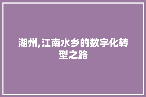 湖州,江南水乡的数字化转型之路 GoogleSEO