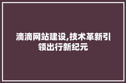 滴滴网站建设,技术革新引领出行新纪元 神马SEO