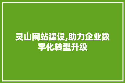 灵山网站建设,助力企业数字化转型升级 必应SEO