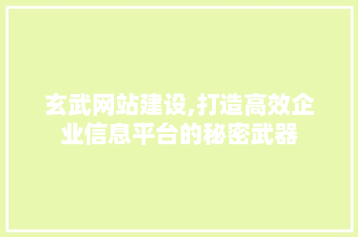 玄武网站建设,打造高效企业信息平台的秘密武器 神马SEO