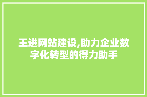 王进网站建设,助力企业数字化转型的得力助手 百度SEO