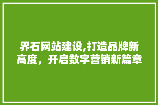 界石网站建设,打造品牌新高度，开启数字营销新篇章 百度SEO