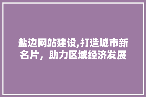 盐边网站建设,打造城市新名片，助力区域经济发展 必应SEO