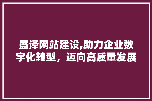盛泽网站建设,助力企业数字化转型，迈向高质量发展 搜狗SEO