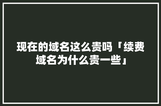 现在的域名这么贵吗「续费域名为什么贵一些」 现在的域名这么贵吗「续费域名为什么贵一些」 必应SEO