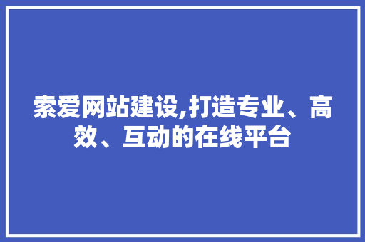 索爱网站建设,打造专业、高效、互动的在线平台 GoogleSEO