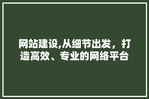 网站建设,从细节出发，打造高效、专业的网络平台 百度SEO