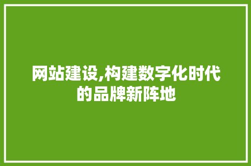 网站建设,构建数字化时代的品牌新阵地 百度SEO