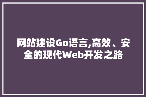 网站建设Go语言,高效、安全的现代Web开发之路 GoogleSEO