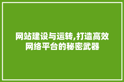 网站建设与运转,打造高效网络平台的秘密武器 搜狗SEO