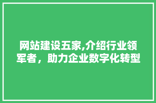 网站建设五家,介绍行业领军者，助力企业数字化转型升级 百度SEO