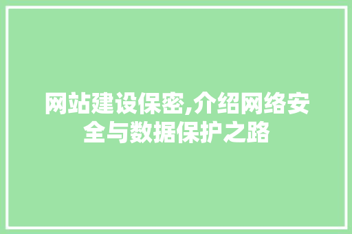 网站建设保密,介绍网络安全与数据保护之路
