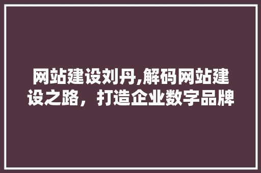网站建设刘丹,解码网站建设之路，打造企业数字品牌新高度