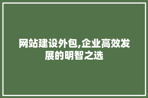 网站建设外包,企业高效发展的明智之选 百度SEO
