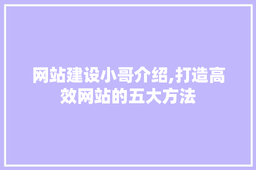 网站建设小哥介绍,打造高效网站的五大方法 必应SEO