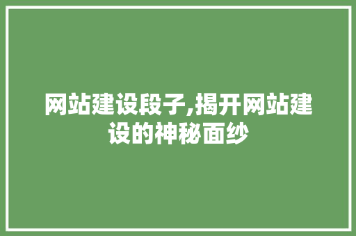 网站建设段子,揭开网站建设的神秘面纱 GoogleSEO