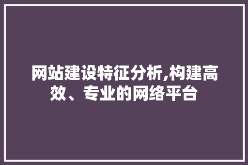 网站建设特征分析,构建高效、专业的网络平台 神马SEO