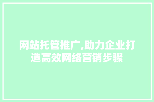 网站托管推广,助力企业打造高效网络营销步骤 必应SEO