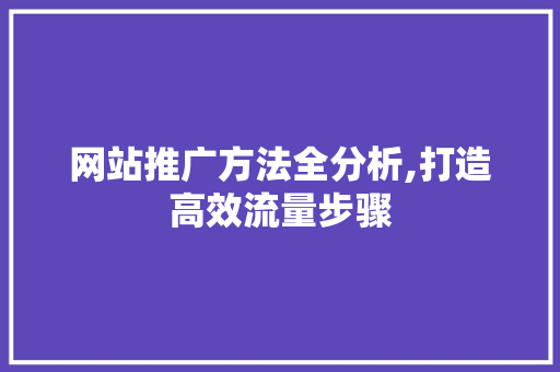 网站推广方法全分析,打造高效流量步骤 必应SEO