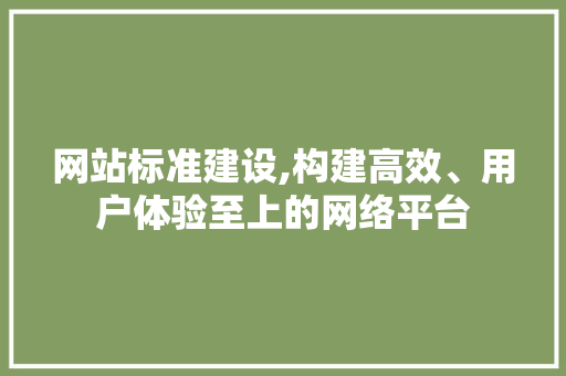 网站标准建设,构建高效、用户体验至上的网络平台 GoogleSEO