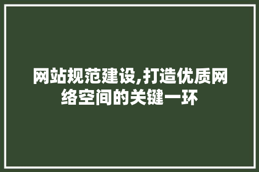 网站规范建设,打造优质网络空间的关键一环 必应SEO