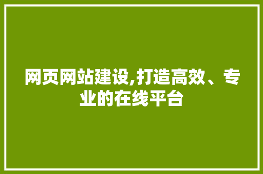 网页网站建设,打造高效、专业的在线平台 神马SEO