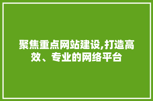 聚焦重点网站建设,打造高效、专业的网络平台 百度SEO
