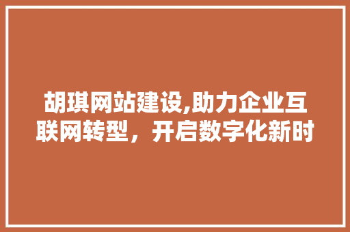 胡琪网站建设,助力企业互联网转型，开启数字化新时代 百度SEO