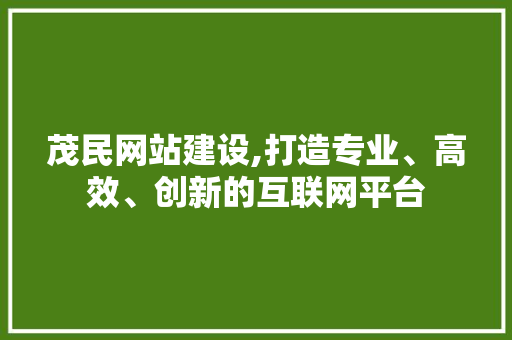 茂民网站建设,打造专业、高效、创新的互联网平台 神马SEO