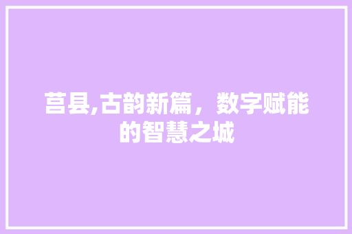 莒县,古韵新篇，数字赋能的智慧之城 神马SEO