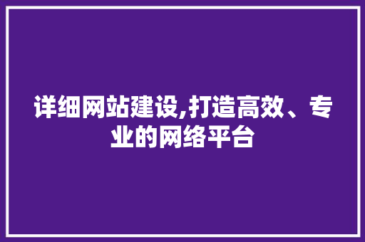 详细网站建设,打造高效、专业的网络平台 GoogleSEO