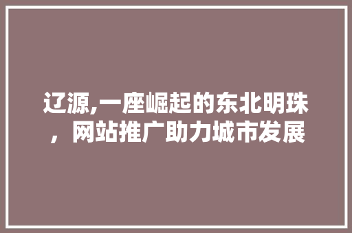 辽源,一座崛起的东北明珠，网站推广助力城市发展 搜狗SEO