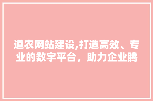 道农网站建设,打造高效、专业的数字平台，助力企业腾飞 百度SEO