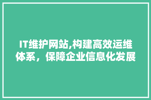 IT维护网站,构建高效运维体系，保障企业信息化发展 必应SEO