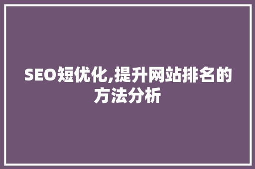 SEO短优化,提升网站排名的方法分析