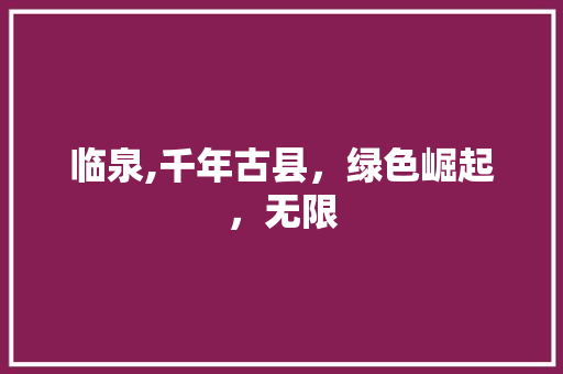 临泉,千年古县，绿色崛起，无限 必应SEO