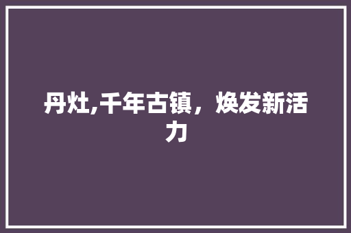 丹灶,千年古镇，焕发新活力 GoogleSEO