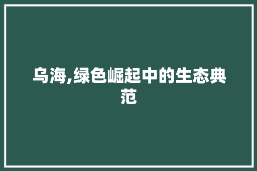 乌海,绿色崛起中的生态典范 必应SEO