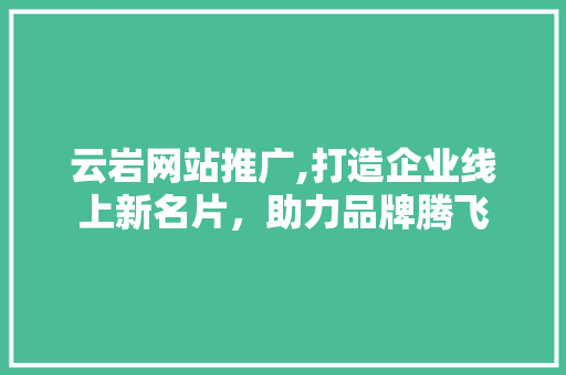 云岩网站推广,打造企业线上新名片，助力品牌腾飞 GoogleSEO