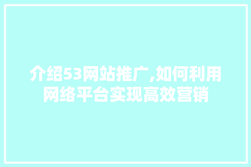 介绍53网站推广,如何利用网络平台实现高效营销 百度SEO