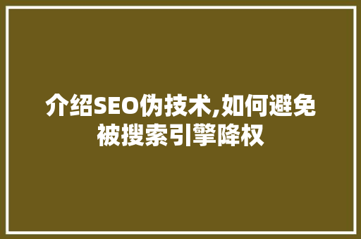 介绍SEO伪技术,如何避免被搜索引擎降权 GoogleSEO
