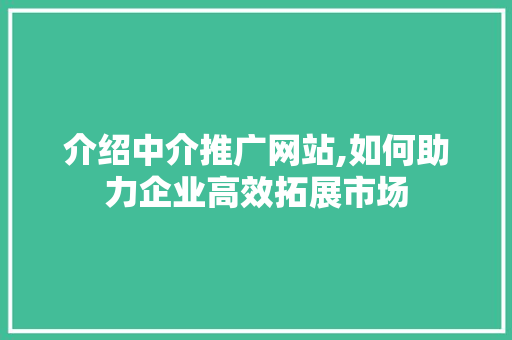 介绍中介推广网站,如何助力企业高效拓展市场 必应SEO