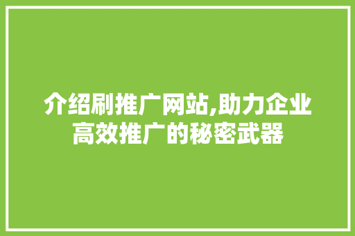介绍刷推广网站,助力企业高效推广的秘密武器 GoogleSEO