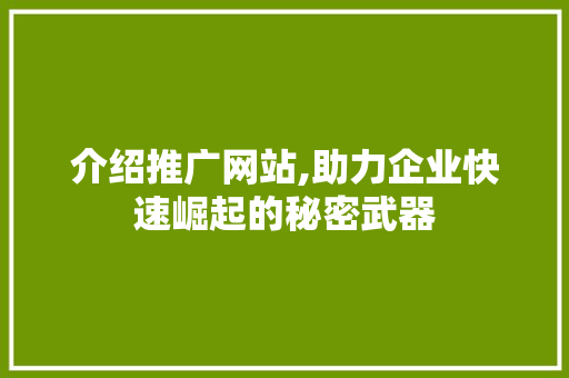 介绍推广网站,助力企业快速崛起的秘密武器