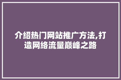 介绍热门网站推广方法,打造网络流量巅峰之路 必应SEO