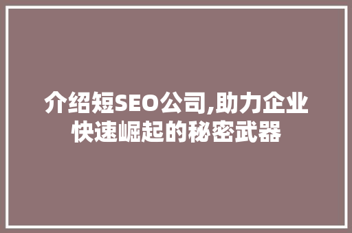 介绍短SEO公司,助力企业快速崛起的秘密武器 必应SEO