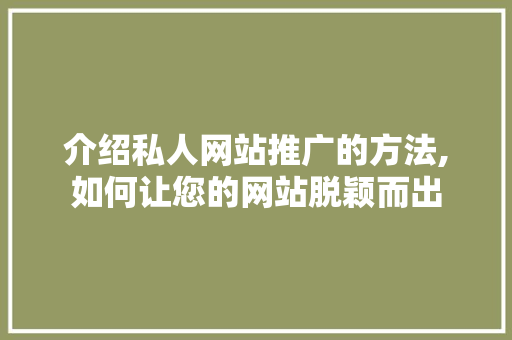 介绍私人网站推广的方法,如何让您的网站脱颖而出