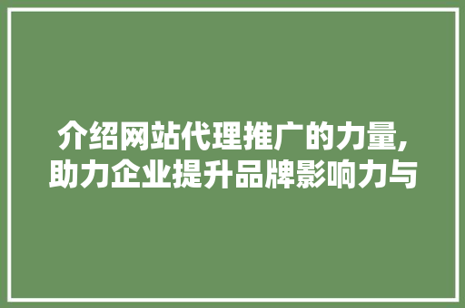 介绍网站代理推广的力量,助力企业提升品牌影响力与市场份额 必应SEO