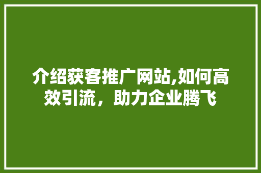 介绍获客推广网站,如何高效引流，助力企业腾飞
